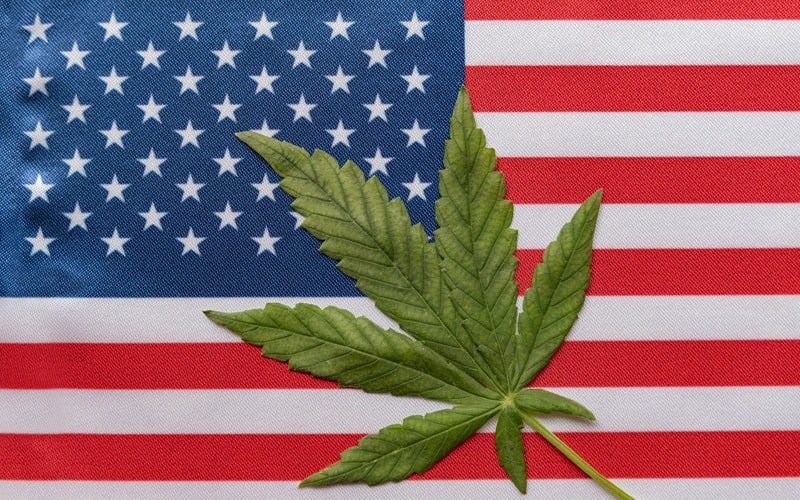 PUTTING AMERICAN CANNABIS FIRST